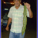 mauricio vargas