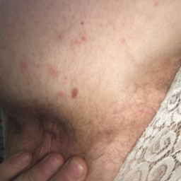 Piedavaju visu, 27