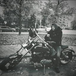 Vulf, 43